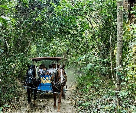 Guembe Biocentro & Resort Santa Cruz de La Sierra Exteriér fotografie